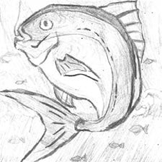 釣り部