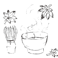茶道部